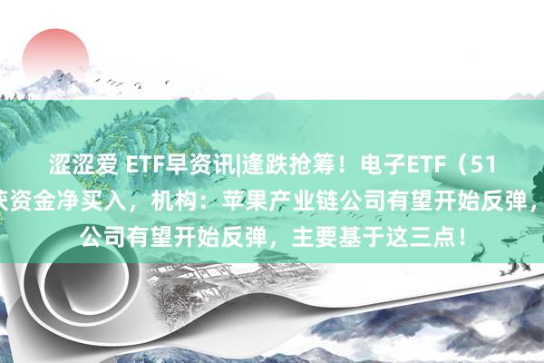涩涩爱 ETF早资讯|逢跌抢筹！电子ETF（515260）贯穿6日获资金净买入，机构：苹果产业链公司有望开始反弹，主要基于这三点！