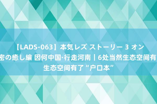 【LADS-063】本気レズ ストーリー 3 オンナだけの秘密の癒し編 因何中国·行走河南｜6处当然生态空间有了“户口本”