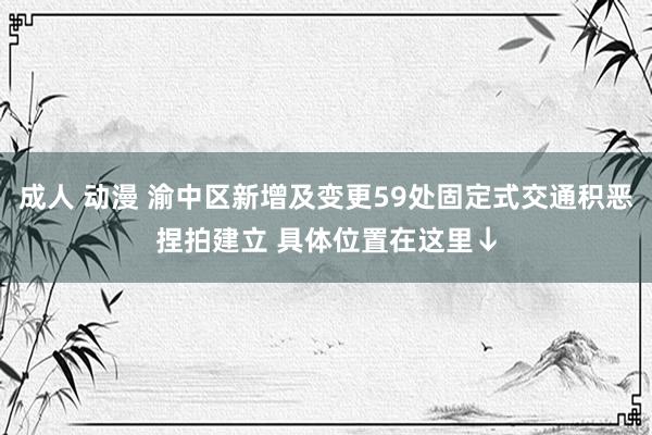成人 动漫 渝中区新增及变更59处固定式交通积恶捏拍建立 具体位置在这里↓