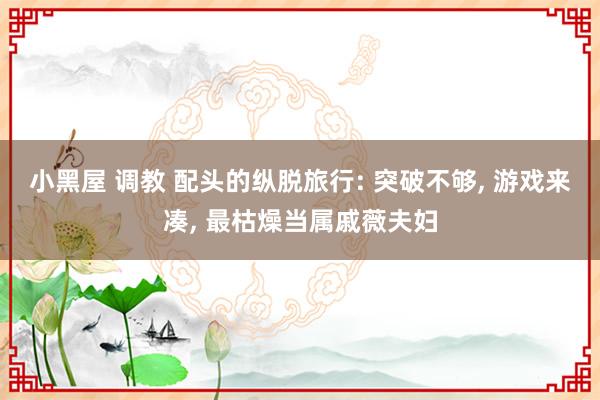 小黑屋 调教 配头的纵脱旅行: 突破不够， 游戏来凑， 最枯燥当属戚薇夫妇