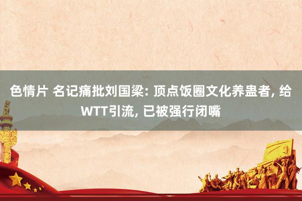 色情片 名记痛批刘国梁: 顶点饭圈文化养蛊者， 给WTT引流， 已被强行闭嘴