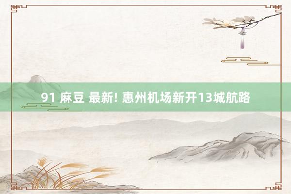 91 麻豆 最新! 惠州机场新开13城航路