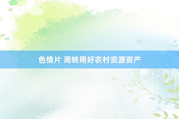 色情片 周转用好农村资源资产